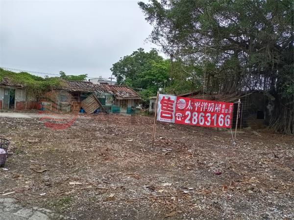 北回國小旁建地