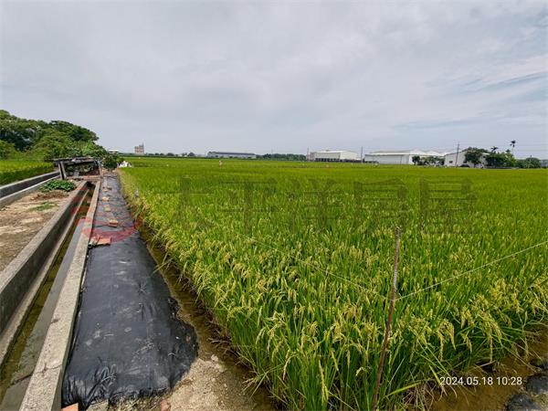 太保後潭農地