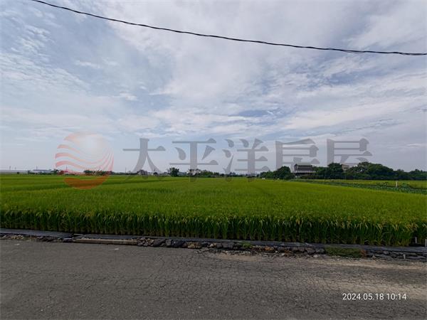 太保後潭農地