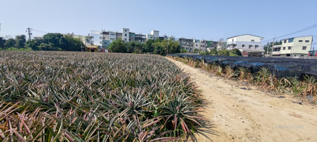 民雄秀林乙建農地