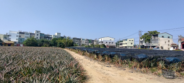 民雄秀林乙建農地