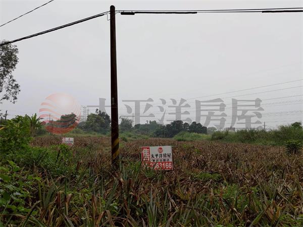 盧義路都計內農地1