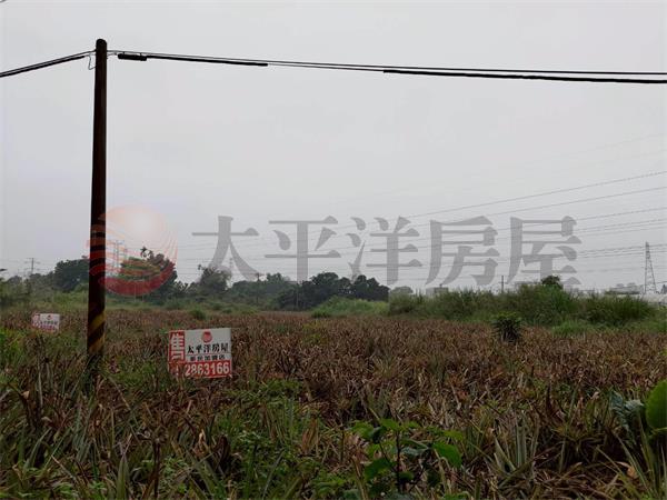 盧義路都計內農地1