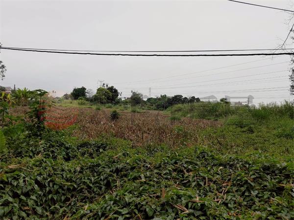 盧義路都計內農地1