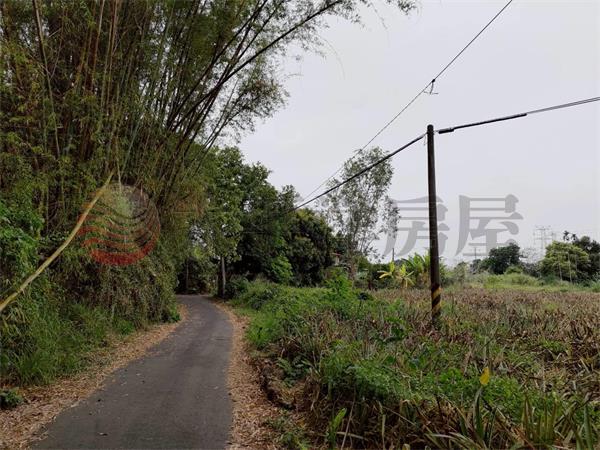 盧義路都計內農地1