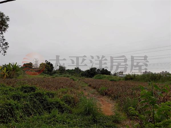 盧義路都計內農地1