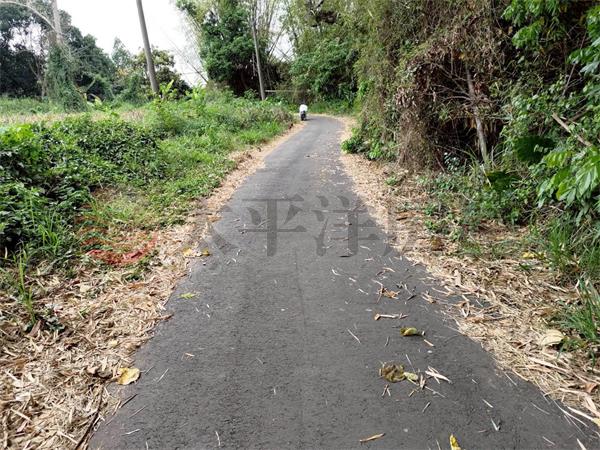 盧義路都計內農地1