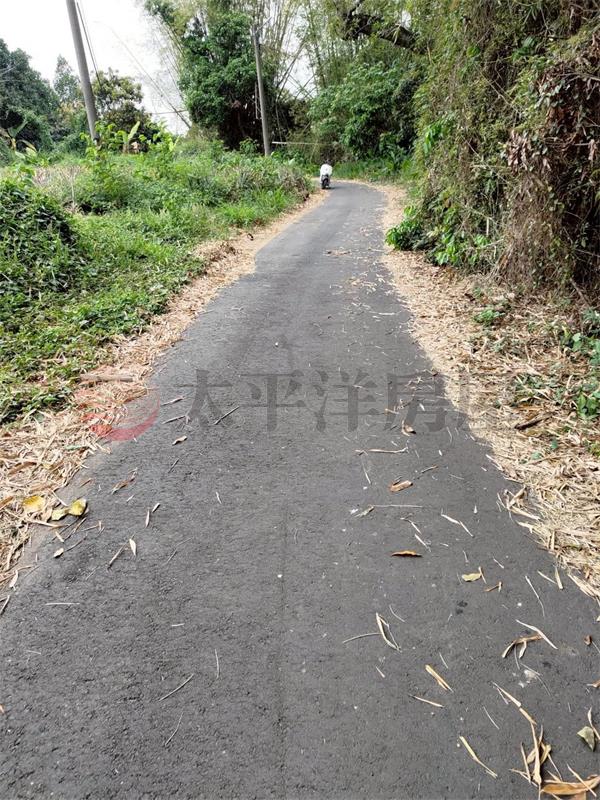盧義路都計內農地1