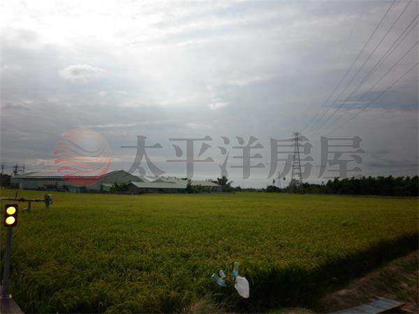 秀林國小附近農地