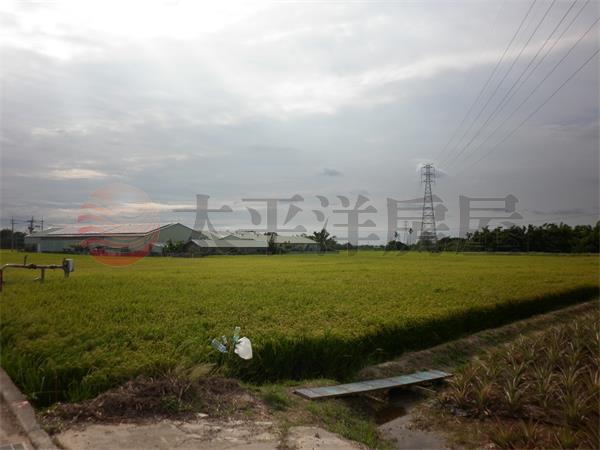 秀林國小附近農地